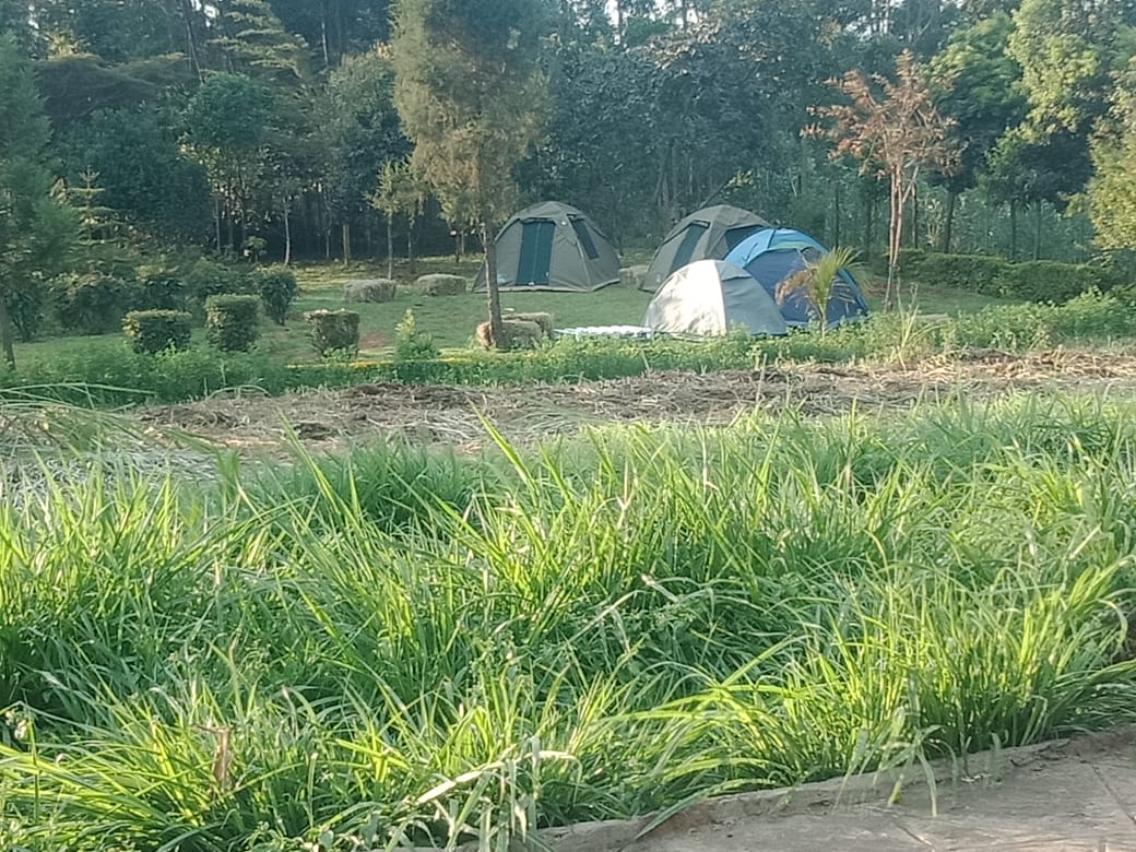 Farm Camping Experience